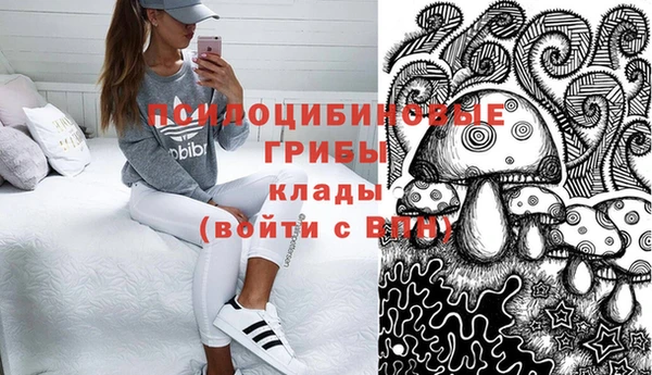эйфоретик Абинск