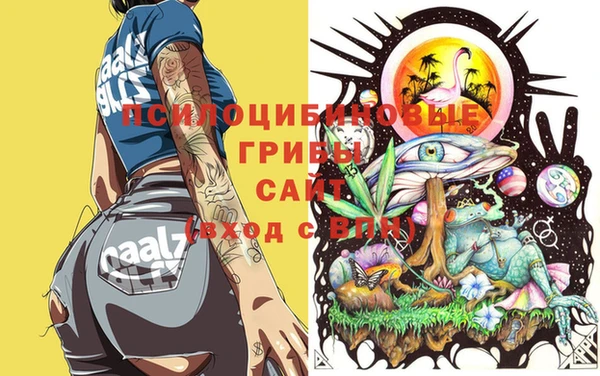 эйфоретик Абинск