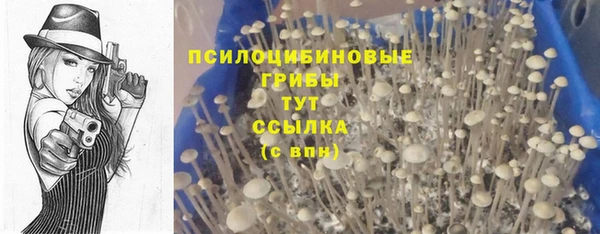 эйфоретик Абаза