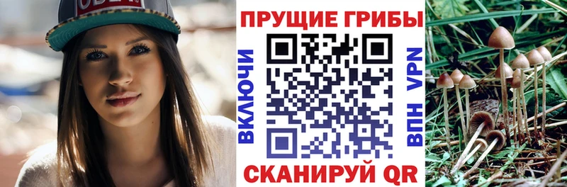 как найти закладки  Тырныауз  Псилоцибиновые грибы прущие грибы 